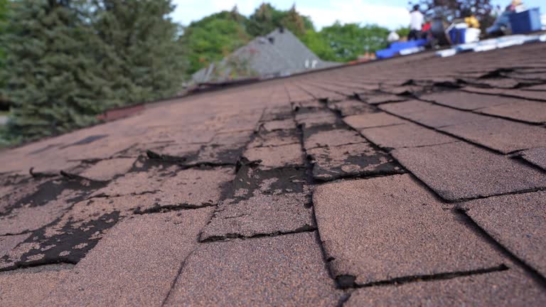 Best Roof Leak Repair  in West Concord, MA